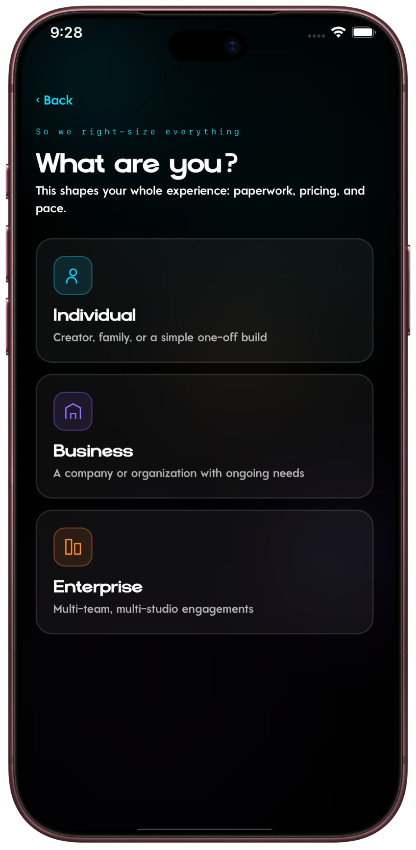 TreyTech app: What are you? Individual, Business, or Enterprise